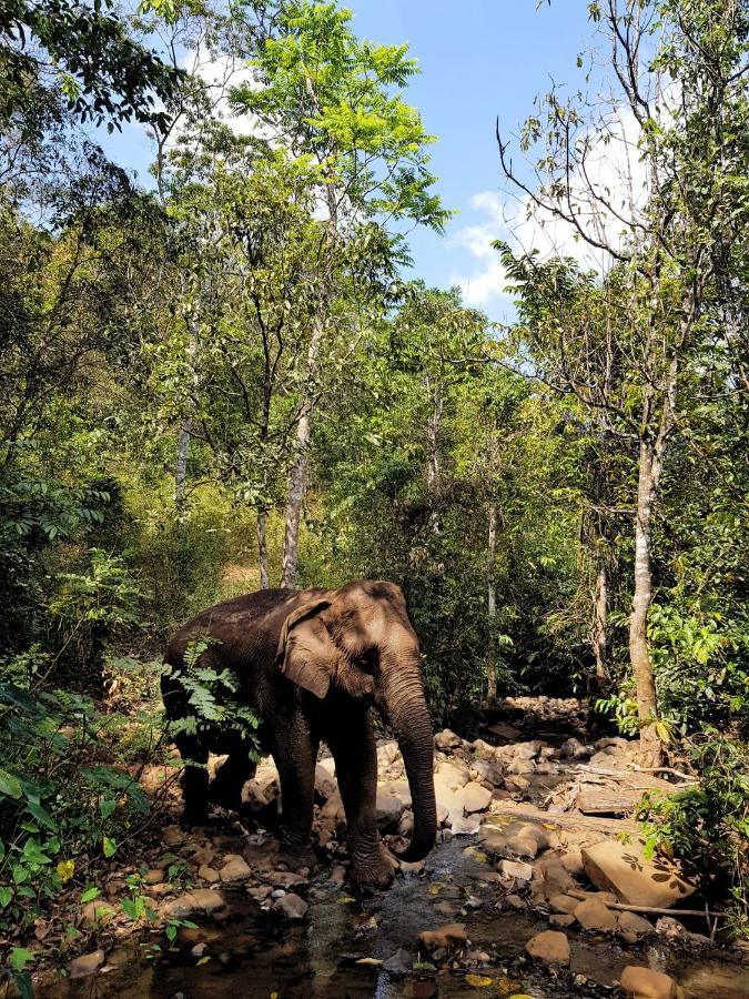 Srey Leap Homestay Banlung Dış mekan fotoğraf