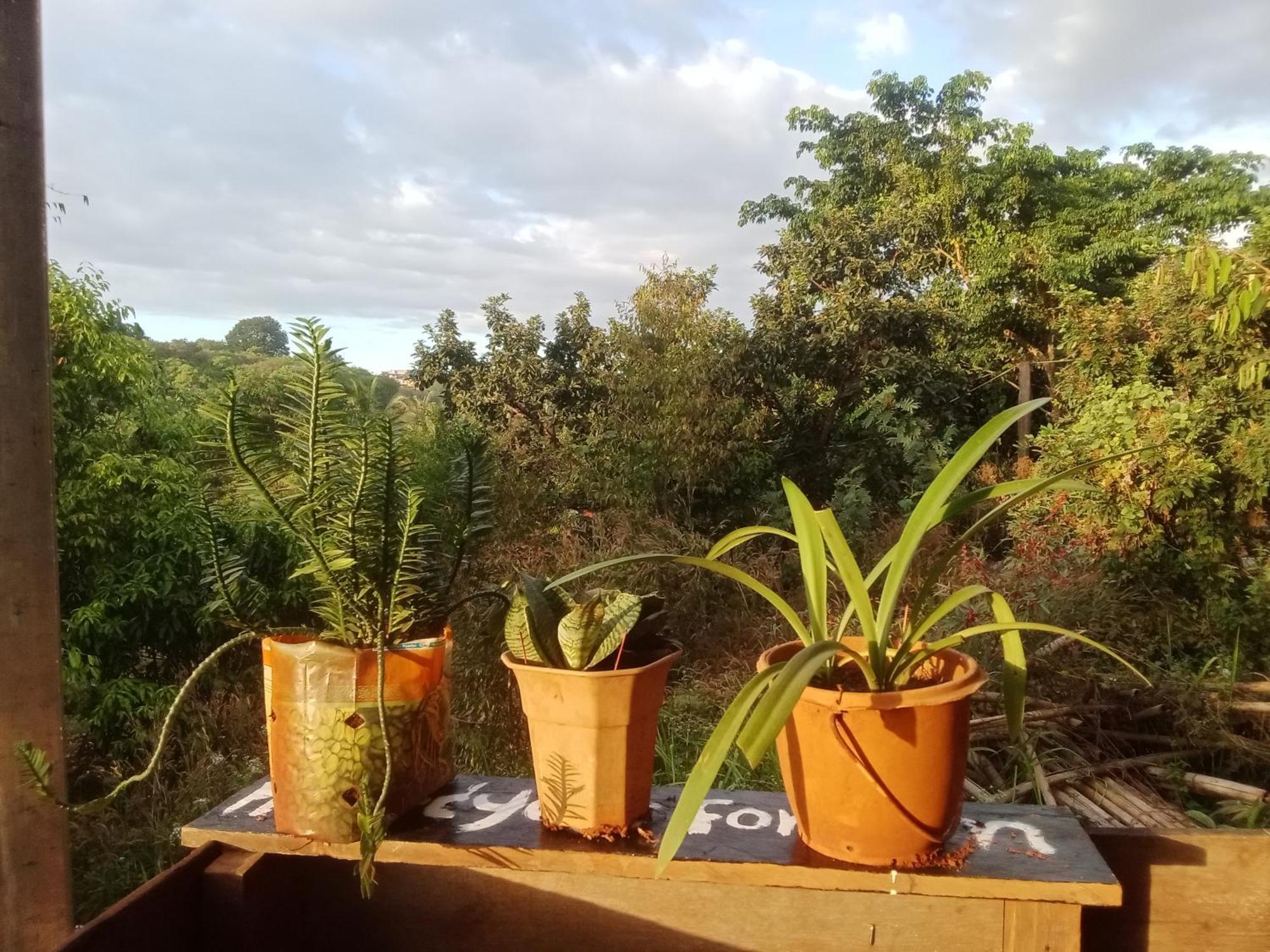 Srey Leap Homestay Banlung Dış mekan fotoğraf